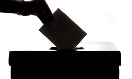 Elecciones andime|  este 20 de abril ensayamos la votación online
