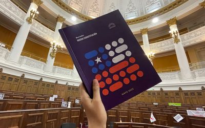 nueva constitución| lo que dice el borrador en materia de educación y trabajo